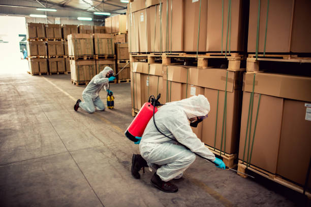 Best Best Pest Control Companies  in Warrenton, MO