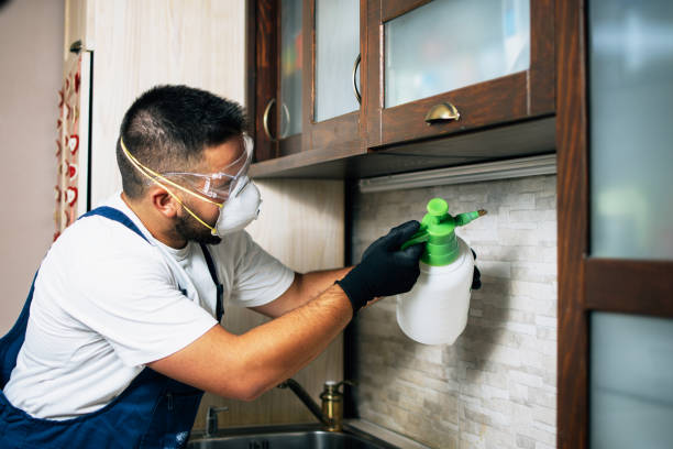 Best Rat Extermination Near Me  in Warrenton, MO