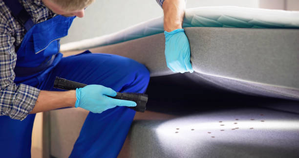 Best Residential Pest Control  in Warrenton, MO