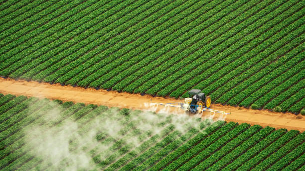 Best Mosquito Control Services  in Warrenton, MO