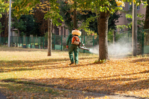 Best Flea Control Services  in Warrenton, MO
