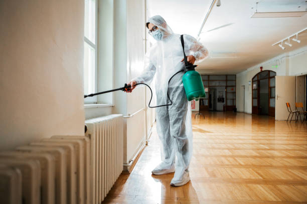 Best Cockroach Control Services  in Warrenton, MO